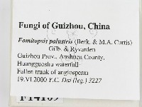 登錄號:F0014109藏品圖，第2張
