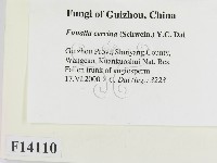 登錄號:F0014110藏品圖，第2張