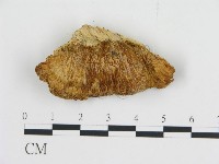 登錄號:F0014110藏品圖，第3張