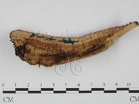 登錄號:F0014111藏品圖，第3張