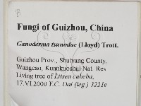 登錄號:F0014112藏品圖，第2張