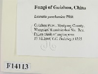 登錄號:F0014113藏品圖，第2張