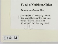登錄號:F0014114藏品圖，第2張