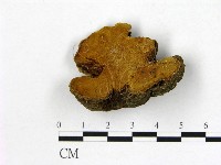 登錄號:F0014115藏品圖，第1張