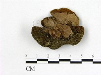 登錄號:F0014115藏品圖，第3張