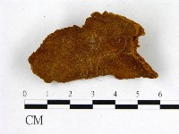 登錄號:F0014116藏品圖，第1張
