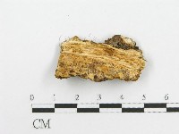 登錄號:F0014116藏品圖，第3張
