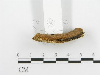 登錄號:F0014116藏品圖，第4張