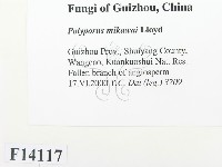 登錄號:F0014117藏品圖，第2張