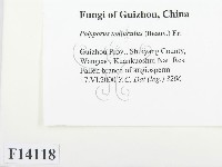 登錄號:F0014118藏品圖，第2張