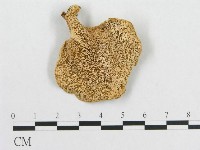 登錄號:F0014118藏品圖，第3張