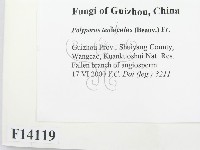 登錄號:F0014119藏品圖，第2張