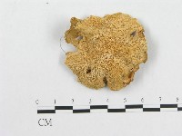 登錄號:F0014119藏品圖，第1張