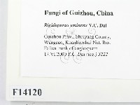 登錄號:F0014120藏品圖，第2張