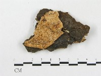 登錄號:F0014120藏品圖，第1張