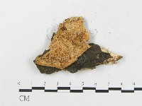 登錄號:F0014120藏品圖，第3張