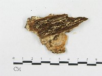 登錄號:F0014120藏品圖，第4張