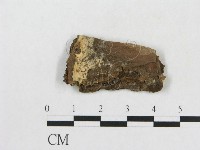 登錄號:F0014121藏品圖，第1張