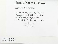 登錄號:F0014122藏品圖，第2張