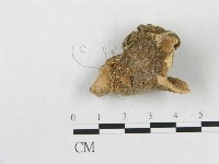 登錄號:F0014122藏品圖，第1張