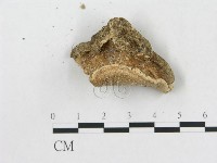 登錄號:F0014122藏品圖，第3張