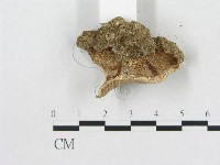 登錄號:F0014122藏品圖，第4張