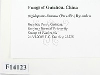 登錄號:F0014123藏品圖，第2張