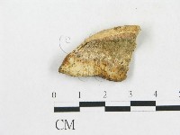 登錄號:F0014123藏品圖，第1張