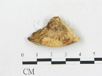 登錄號:F0014123藏品圖，第3張