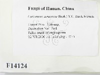 登錄號:F0014124藏品圖，第2張