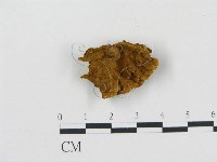 登錄號:F0014124藏品圖，第1張