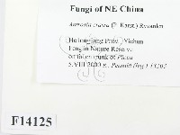 登錄號:F0014125藏品圖，第2張