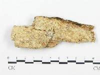 登錄號:F0014125藏品圖，第1張