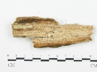 登錄號:F0014125藏品圖，第3張