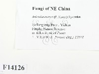登錄號:F0014126藏品圖，第2張