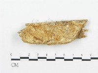 登錄號:F0014126藏品圖，第1張