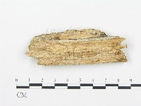 登錄號:F0014126藏品圖，第3張