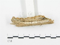 登錄號:F0014126藏品圖，第4張