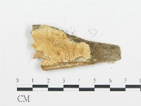 登錄號:F0014127藏品圖，第3張