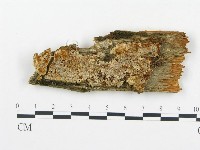 登錄號:F0014128藏品圖，第1張