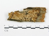 登錄號:F0014128藏品圖，第3張
