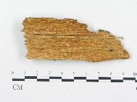 登錄號:F0014128藏品圖，第4張