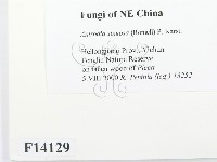 登錄號:F0014129藏品圖，第2張