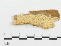 登錄號:F0014129藏品圖，第1張