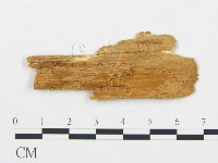 登錄號:F0014129藏品圖，第3張