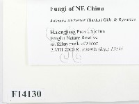 登錄號:F0014130藏品圖，第2張