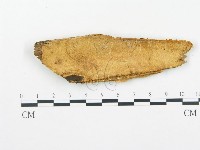 登錄號:F0014130藏品圖，第1張