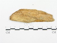 登錄號:F0014130藏品圖，第3張