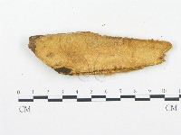 登錄號:F0014130藏品圖，第4張