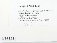 登錄號:F0014131藏品圖，第2張